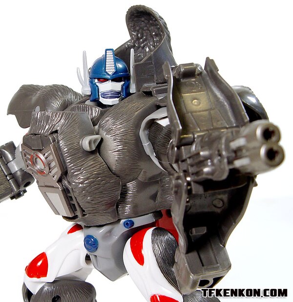 Image Of Takara Transformers Beast Wars Reborn BWR 01 Optimus Primal  (16 of 33)